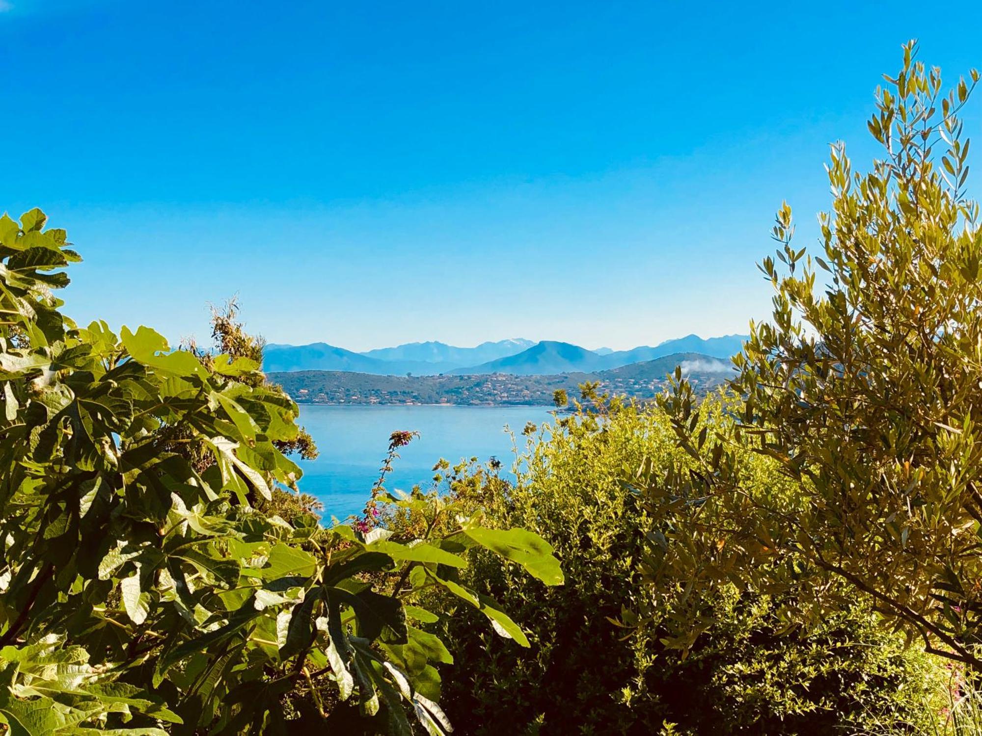 Verghia Casa Salini Bed & Breakfast エクステリア 写真